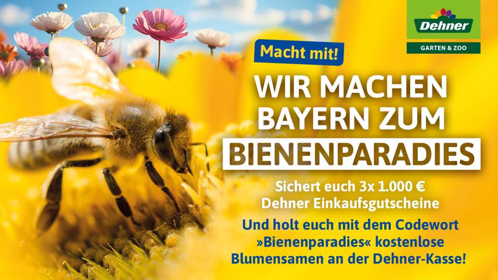 ANTENNE BAYERN und die Dehner Gartencenter machen Bayern zum Bienenparadies